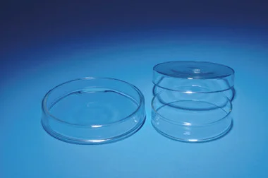 cplabsafety-120260712055101914747