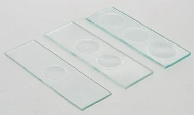cplabsafety-120260712120210957259