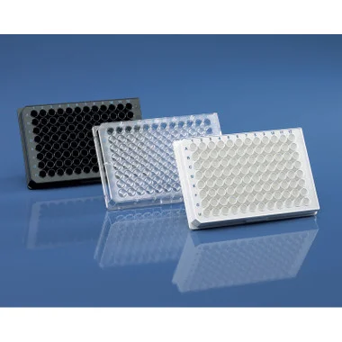 cplabsafety-120260712154845981035