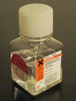 cplabsafety-1202607130503351058236