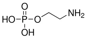 cplabsafety-1202607130622491062750