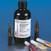cplabsafety-1202607130629521063147