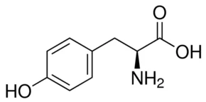 cplabsafety-1202607130800281068268