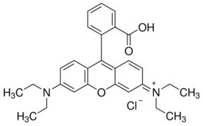 cplabsafety-1202607132312201149090