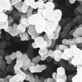 cplabsafety-1202607132352361152481