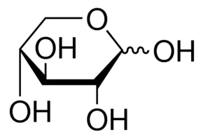 cplabsafety-1202607140020391154015
