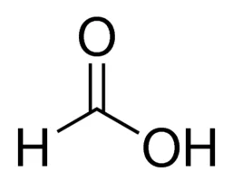 cplabsafety-1202607140214041161294