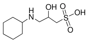 cplabsafety-1202607140254551164954