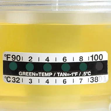 cplabsafety-1202607140329341168174