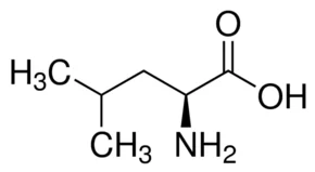 cplabsafety-1202607140339121169112