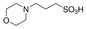 cplabsafety-1202607140447491174606