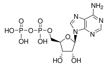 cplabsafety-1202607140548231179064