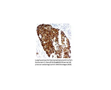 cplabsafety-2202607132229131144452