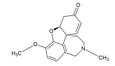 cplabsafety-2202607132355121152641