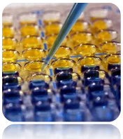cplabsafety-2202607140009031153406