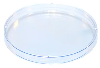 cplabsafety-2202607140026241154342