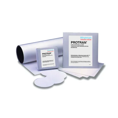 cplabsafety-2202607140920261197474