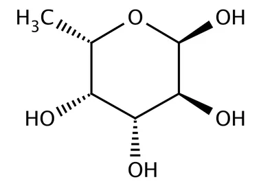 cplabsafety-2202607141021111202249