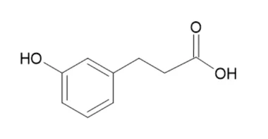 cplabsafety-2202607141110521206634
