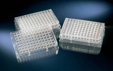 cplabsafety-2202607141235531212615