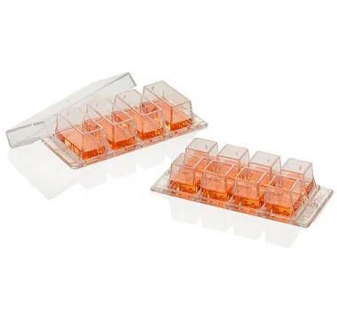 cplabsafety-2202607141319071216281