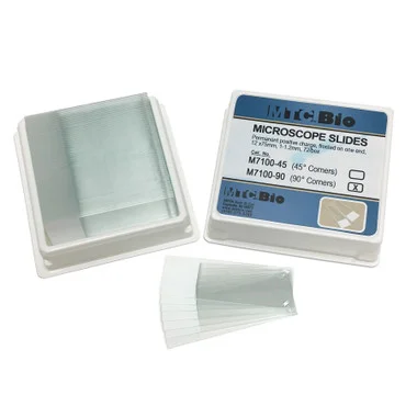 cplabsafety-2202607141404511220325
