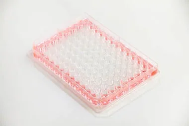 cplabsafety-2202607141422331222056