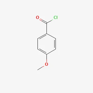 cplabsafety-2202607141455221225128