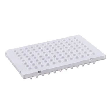 cplabsafety-2202607141503261225949