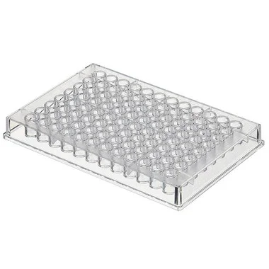 cplabsafety-2202607141523301228004
