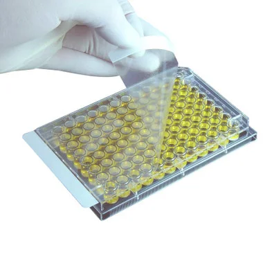 cplabsafety-2202607141617071232553