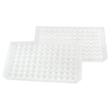 cplabsafety-2202607141622561233117