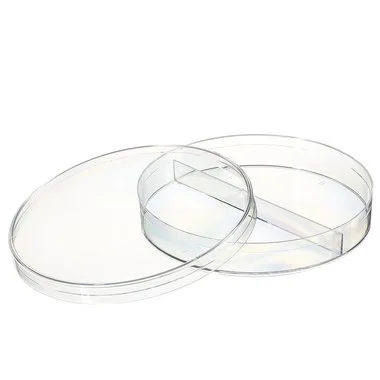 cplabsafety-2202607141640431234831