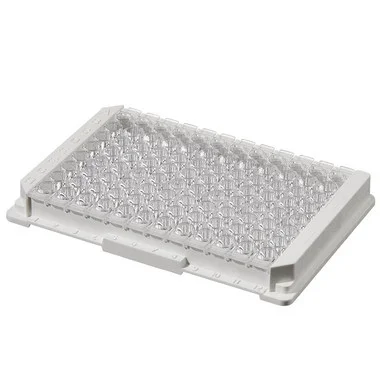 cplabsafety-2202607141807141244083