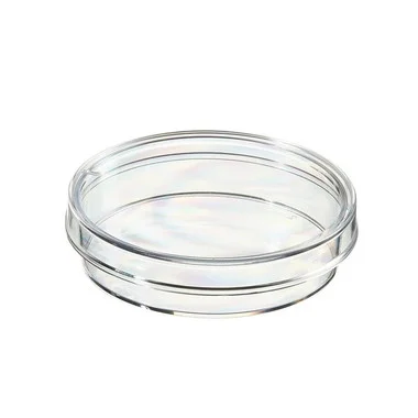 cplabsafety-2202607141920371253377