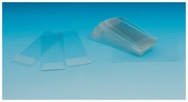 cplabsafety-2202607141957361257289
