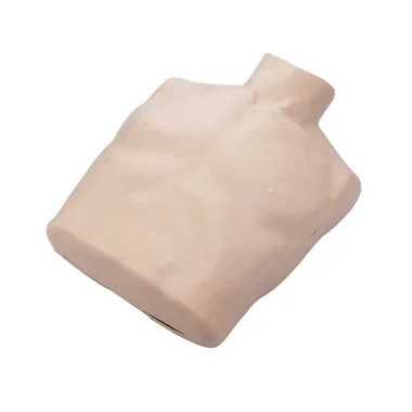 cplabsafety-2202607142144591267506