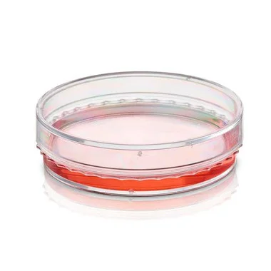 cplabsafety-2202607142145191267550