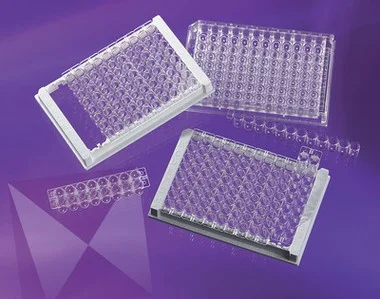 cplabsafety-2202607142152121268509