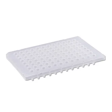 cplabsafety-2202607150005471288349