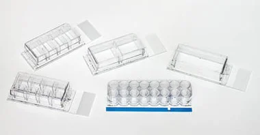 cplabsafety-2202607150027061291047