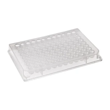 cplabsafety-2202607150155361304593