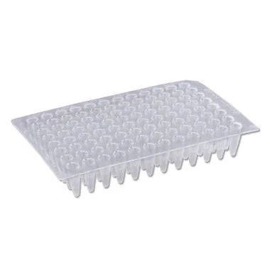 cplabsafety-2202607150159171305348