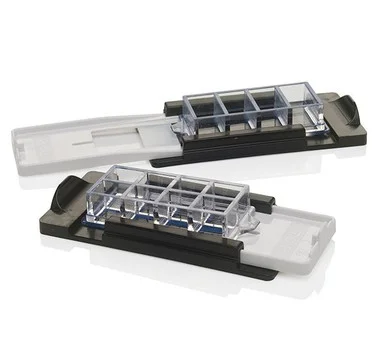 cplabsafety-2202607150203081306098