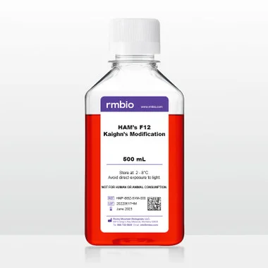 cplabsafety-2202607150326511322518