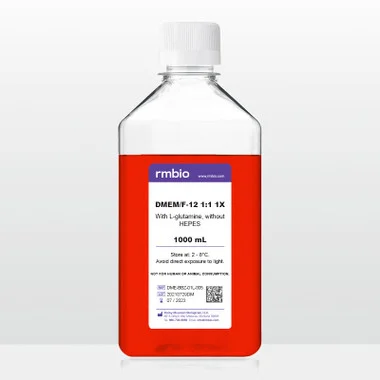 cplabsafety-2202607150400191328373