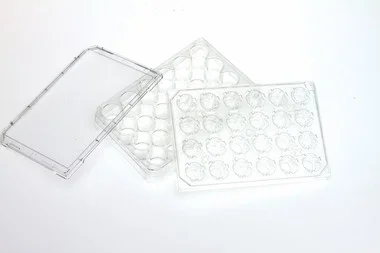 cplabsafety-2202607150430581333812