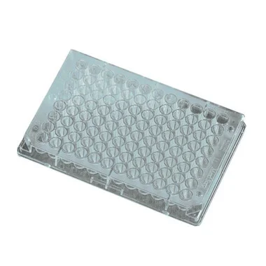 cplabsafety-2202607150438411335156