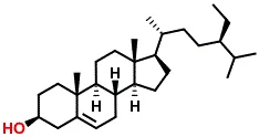 cplabsafety-2202607150452351337500