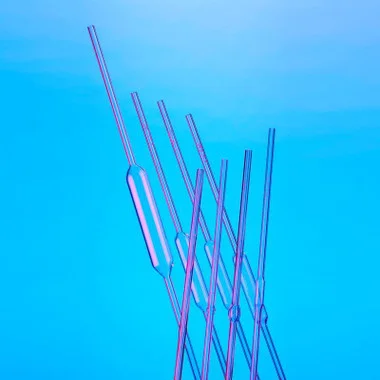 cplabsafety-2202607150501061338910